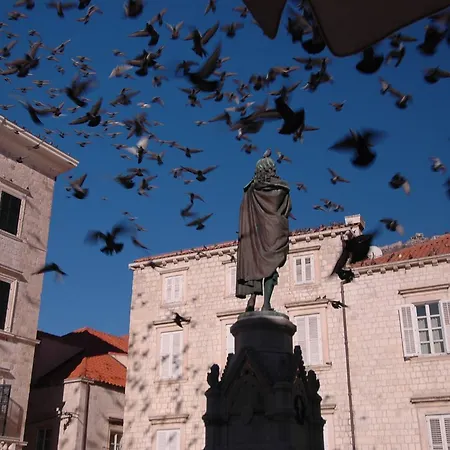 招待所 Sigurata 3*